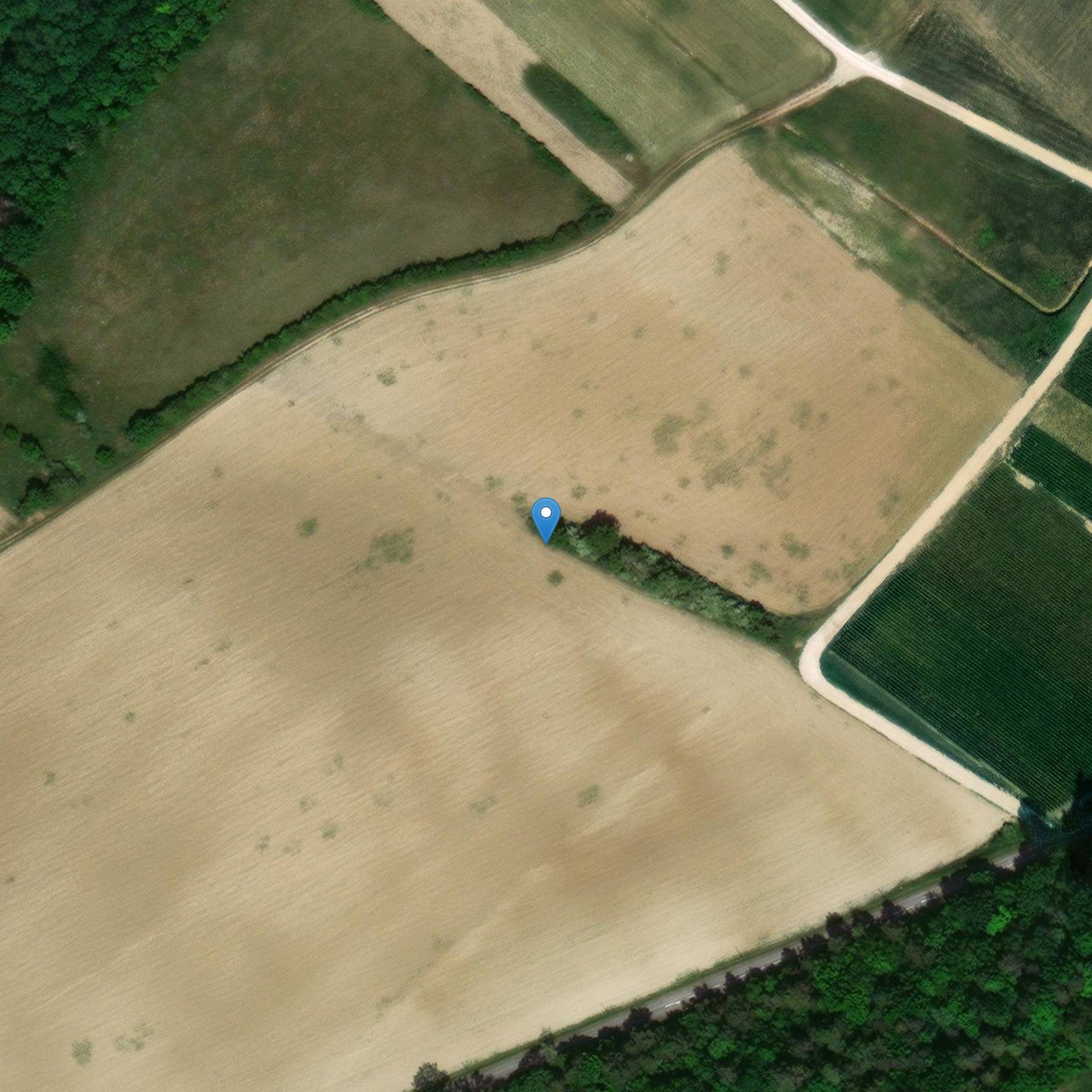 Photo de Colombe-la-Fosse Cemetery Cross