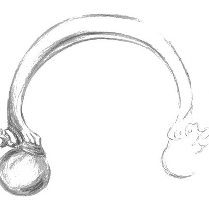 Photo de Site et tombe princière de Vix