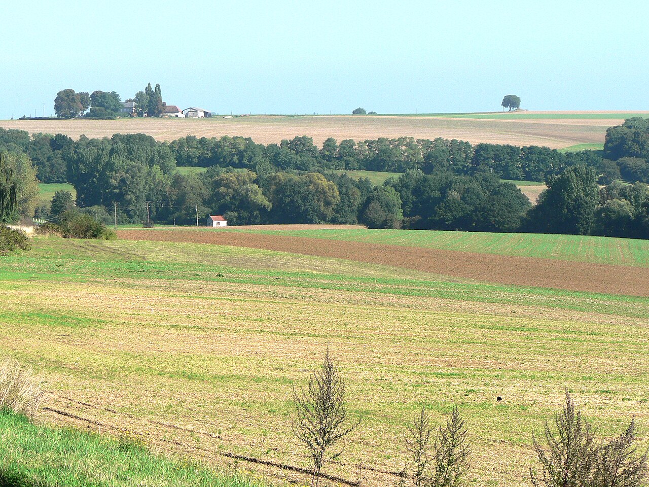 Croix de cimetière de Jouarre