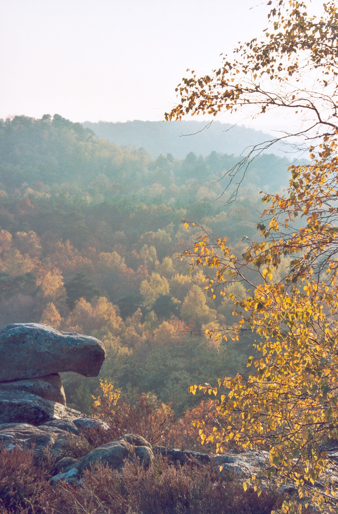 Croix de cimetière de Jouarre