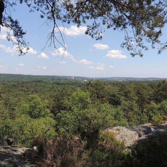 Photo de Croix de cimetière de Jouarre