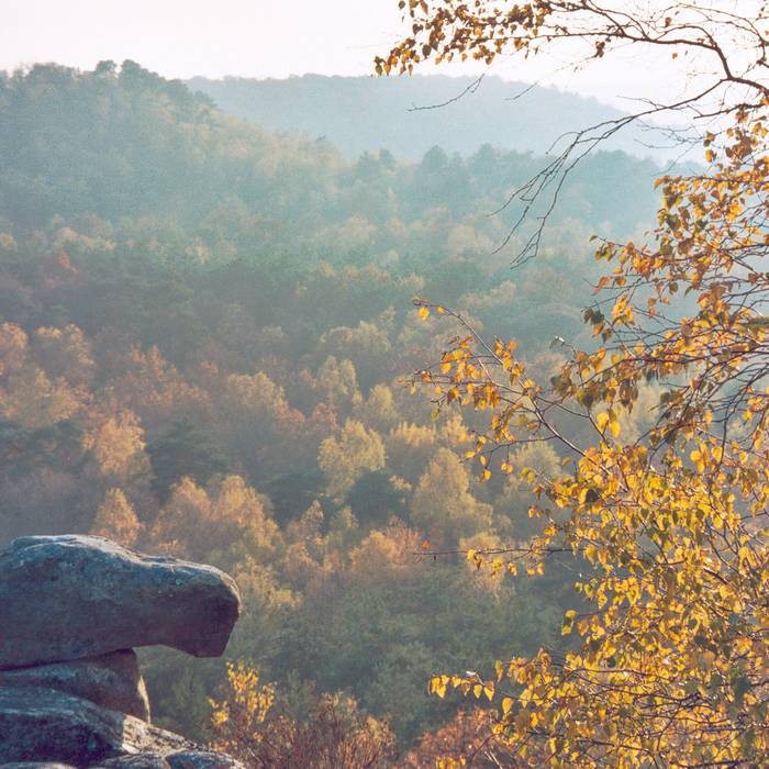 Photo de Croix de cimetière de Jouarre