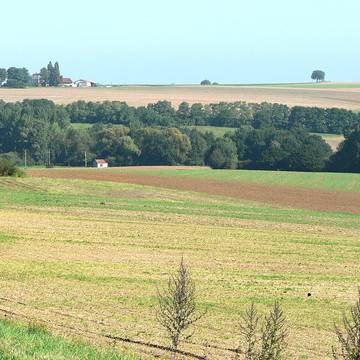 Croix de cimetière de Jouarre