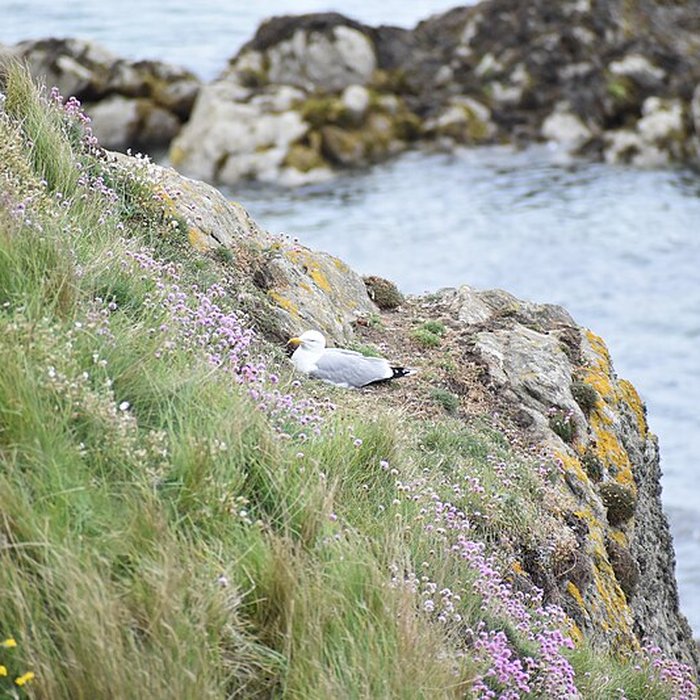 Photo de Tombeau de Chateaubriand à Saint-Malo