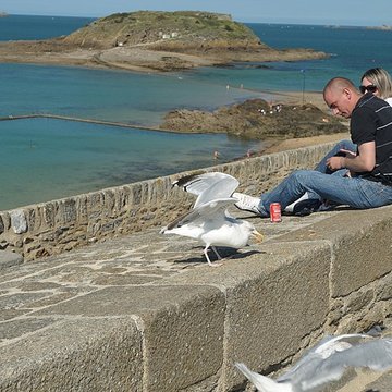Tombeau de Chateaubriand à Saint-Malo
