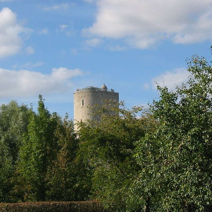 Photo de Tour blanche dIssoudun