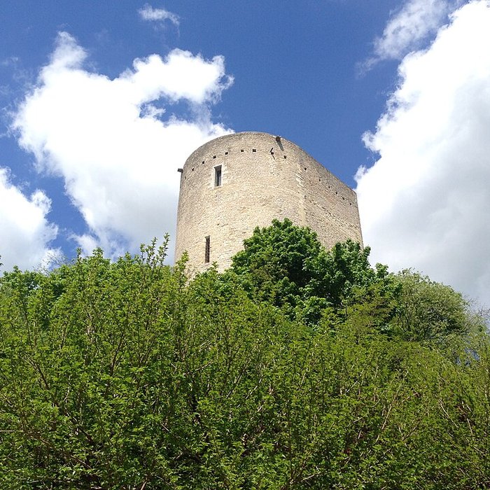 Photo de Tour blanche dIssoudun