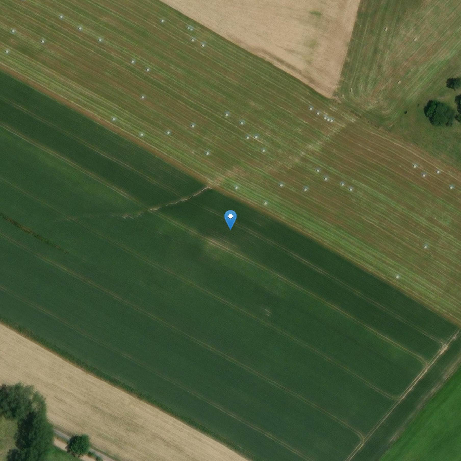 Photo de 圣奥斯特雷伯特十字会