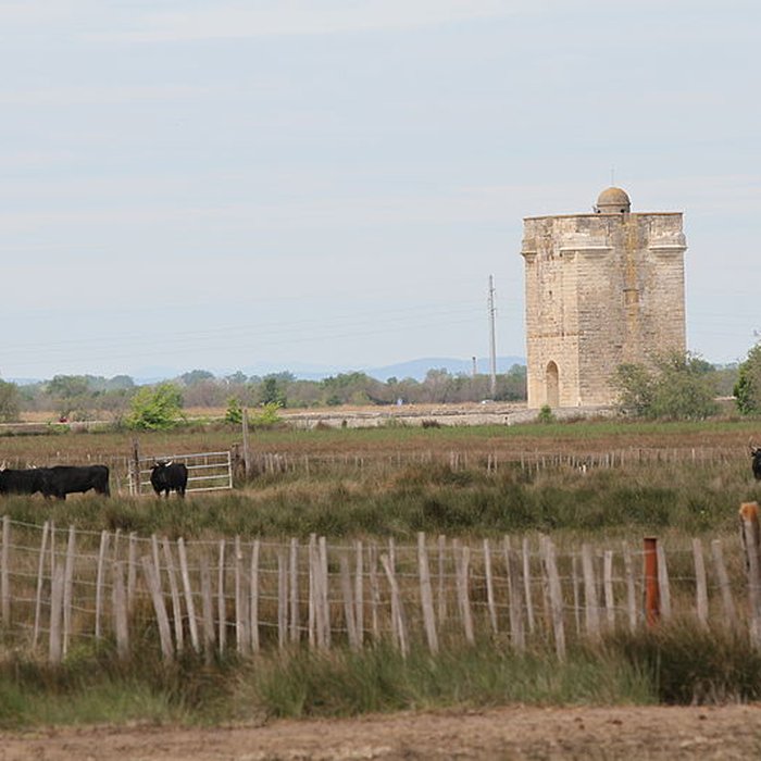 Photo de Tour Carbonnière de Saint-Laurent-dAigouze
