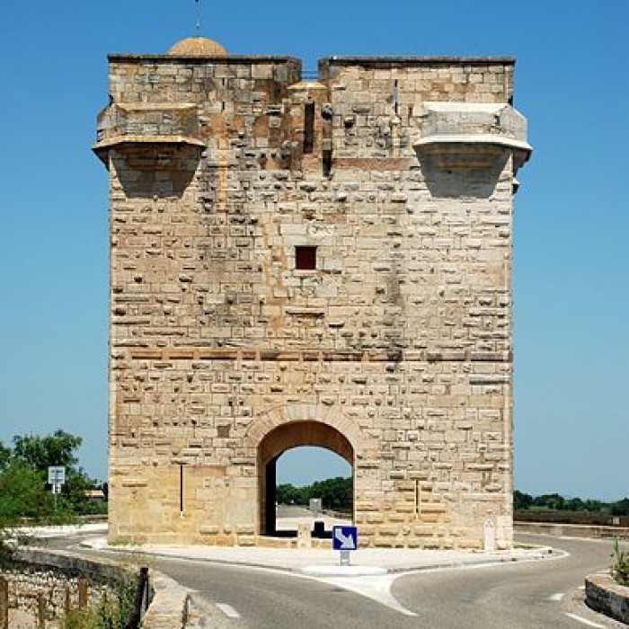 Photo de Tour Carbonnière de Saint-Laurent-dAigouze