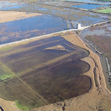 Tour Carbonnière de Saint-Laurent-dAigouze