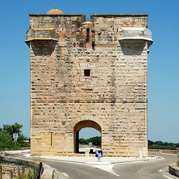 Tour Carbonnière de Saint-Laurent-dAigouze