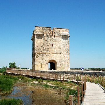 Tour Carbonnière de Saint-Laurent-dAigouze
