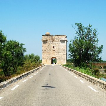 Tour Carbonnière de Saint-Laurent-dAigouze