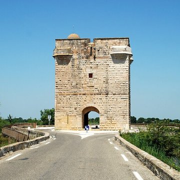 Tour Carbonnière de Saint-Laurent-dAigouze