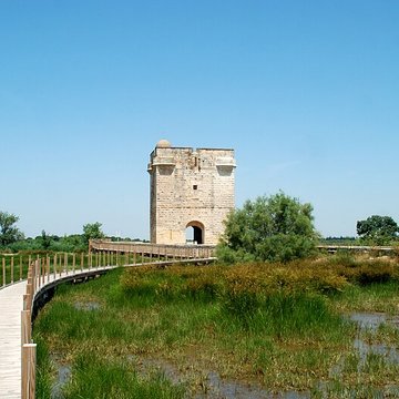 Tour Carbonnière de Saint-Laurent-dAigouze