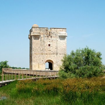 Tour Carbonnière de Saint-Laurent-dAigouze
