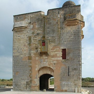 Tour Carbonnière de Saint-Laurent-dAigouze