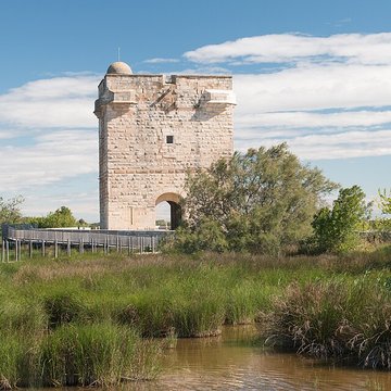 Tour Carbonnière de Saint-Laurent-dAigouze