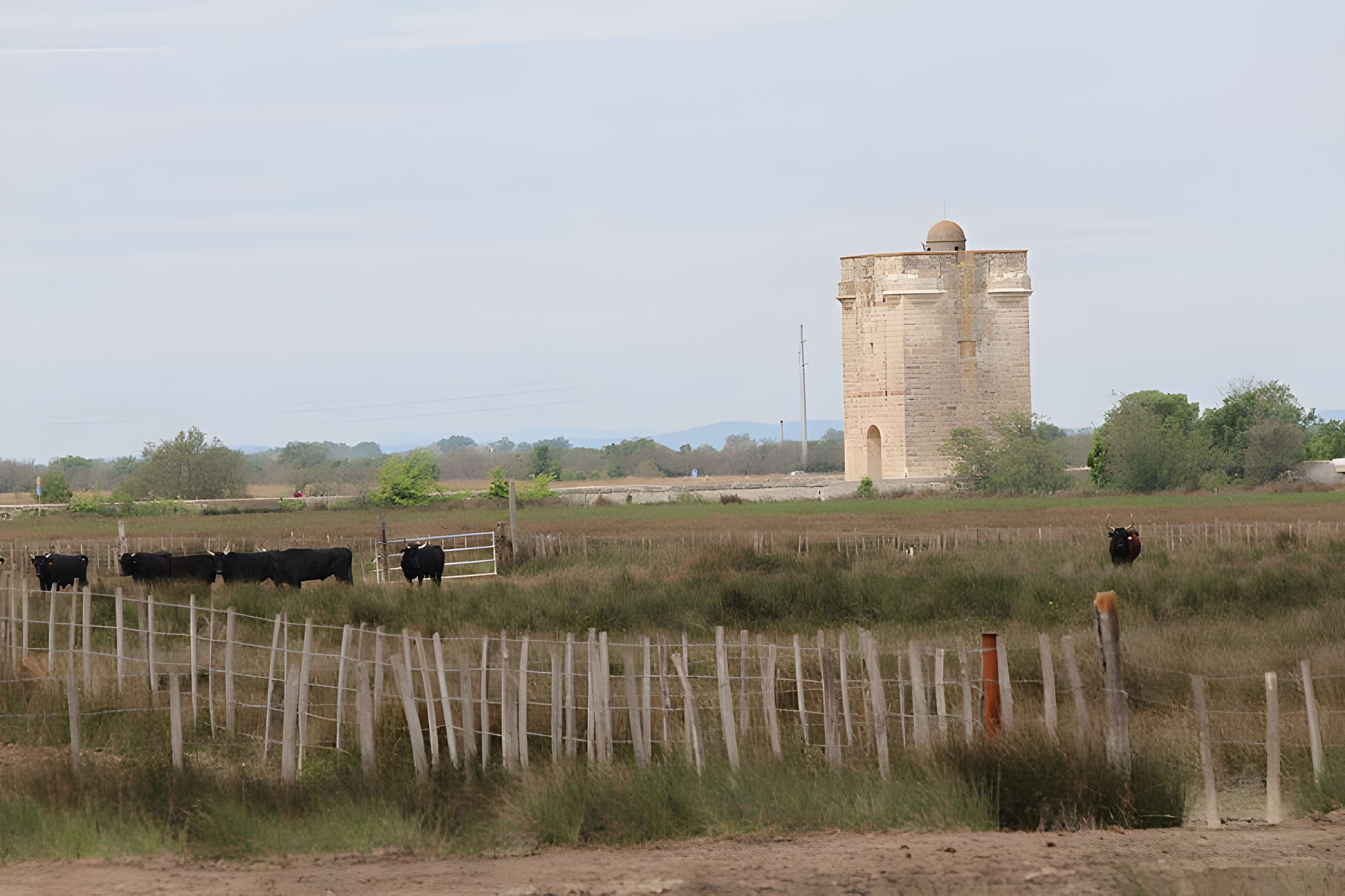 Tour Carbonnière de Saint-Laurent-d'Aigouze