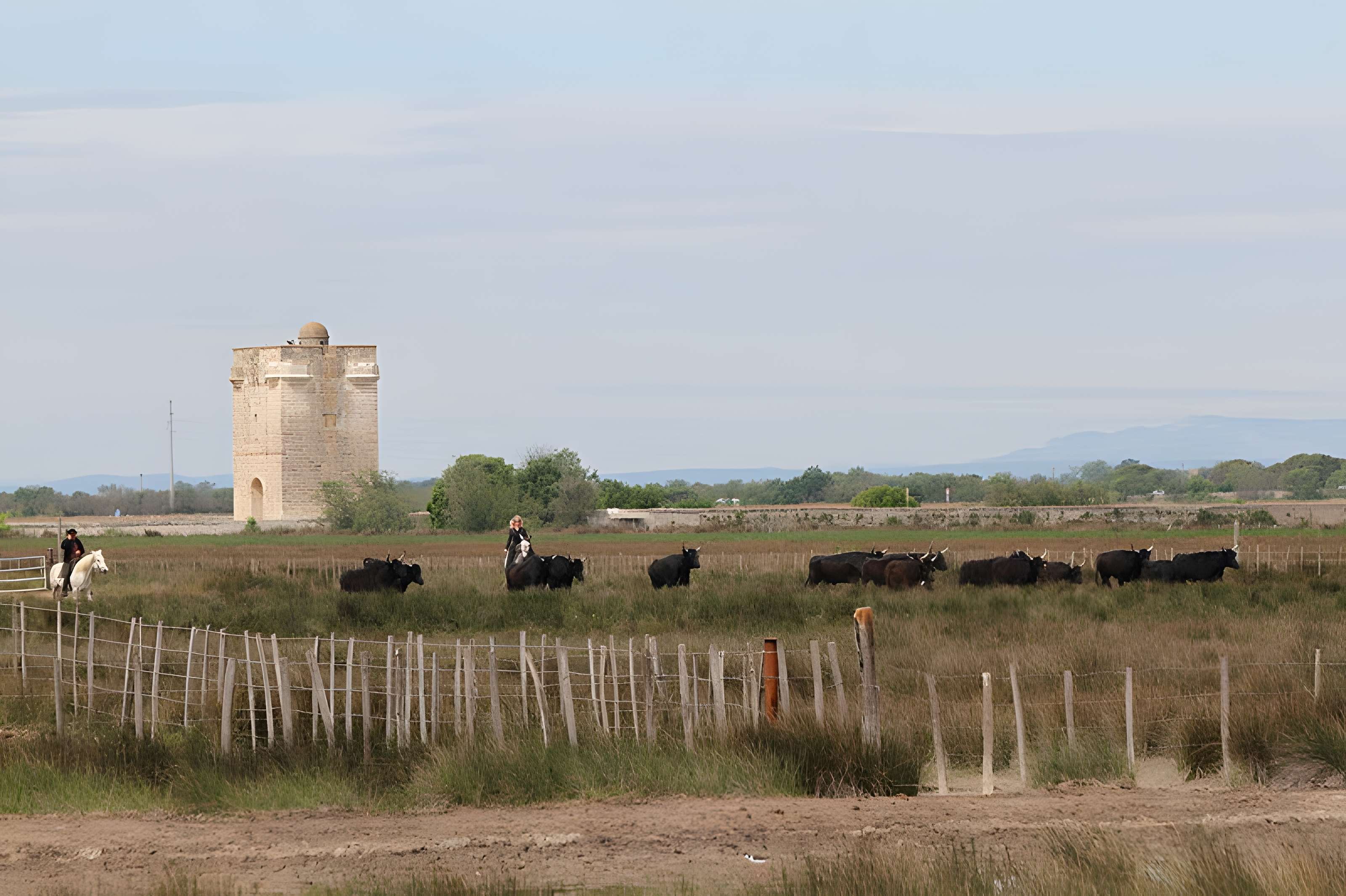 Tour Carbonnière de Saint-Laurent-d'Aigouze