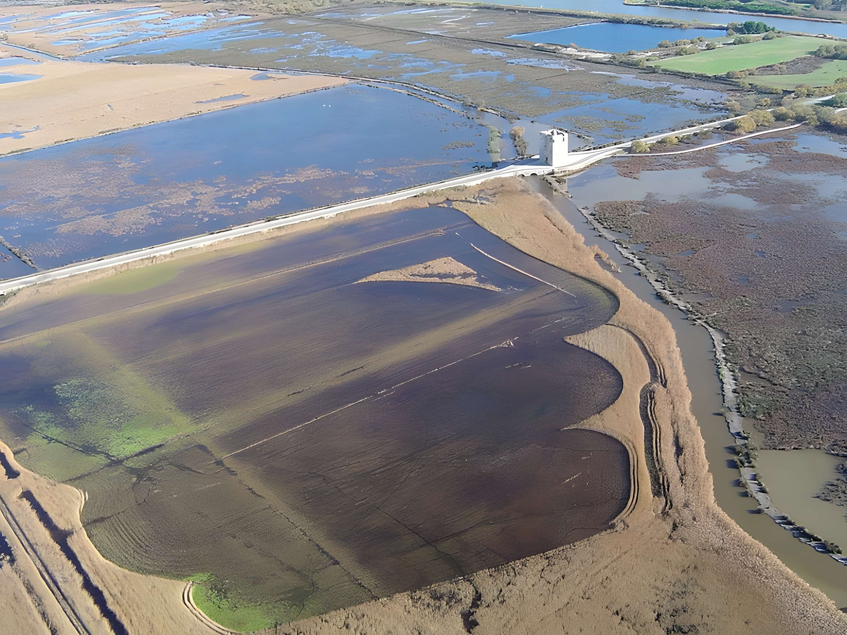 Tour Carbonnière de Saint-Laurent-d'Aigouze