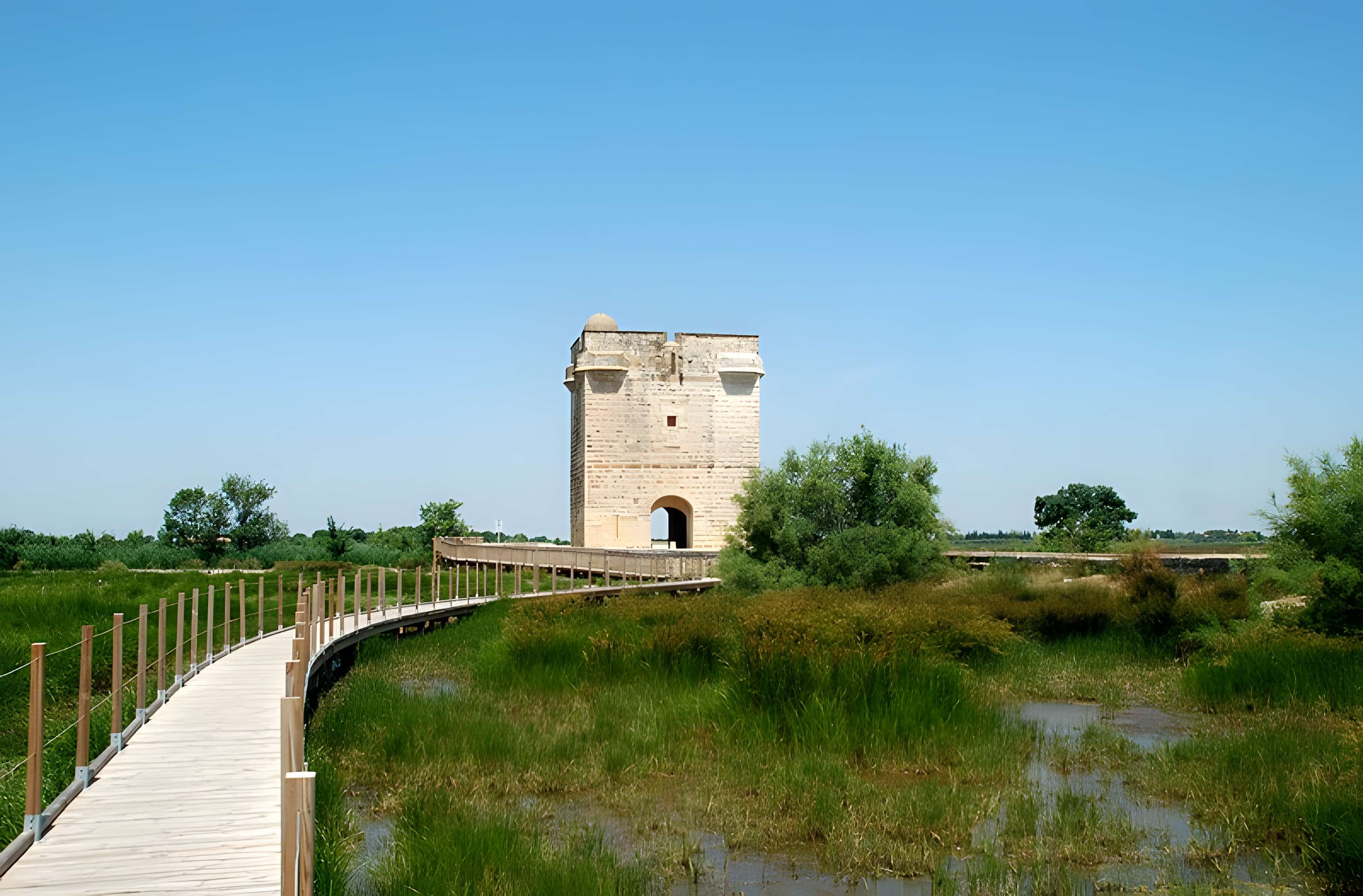 Tour Carbonnière de Saint-Laurent-d'Aigouze