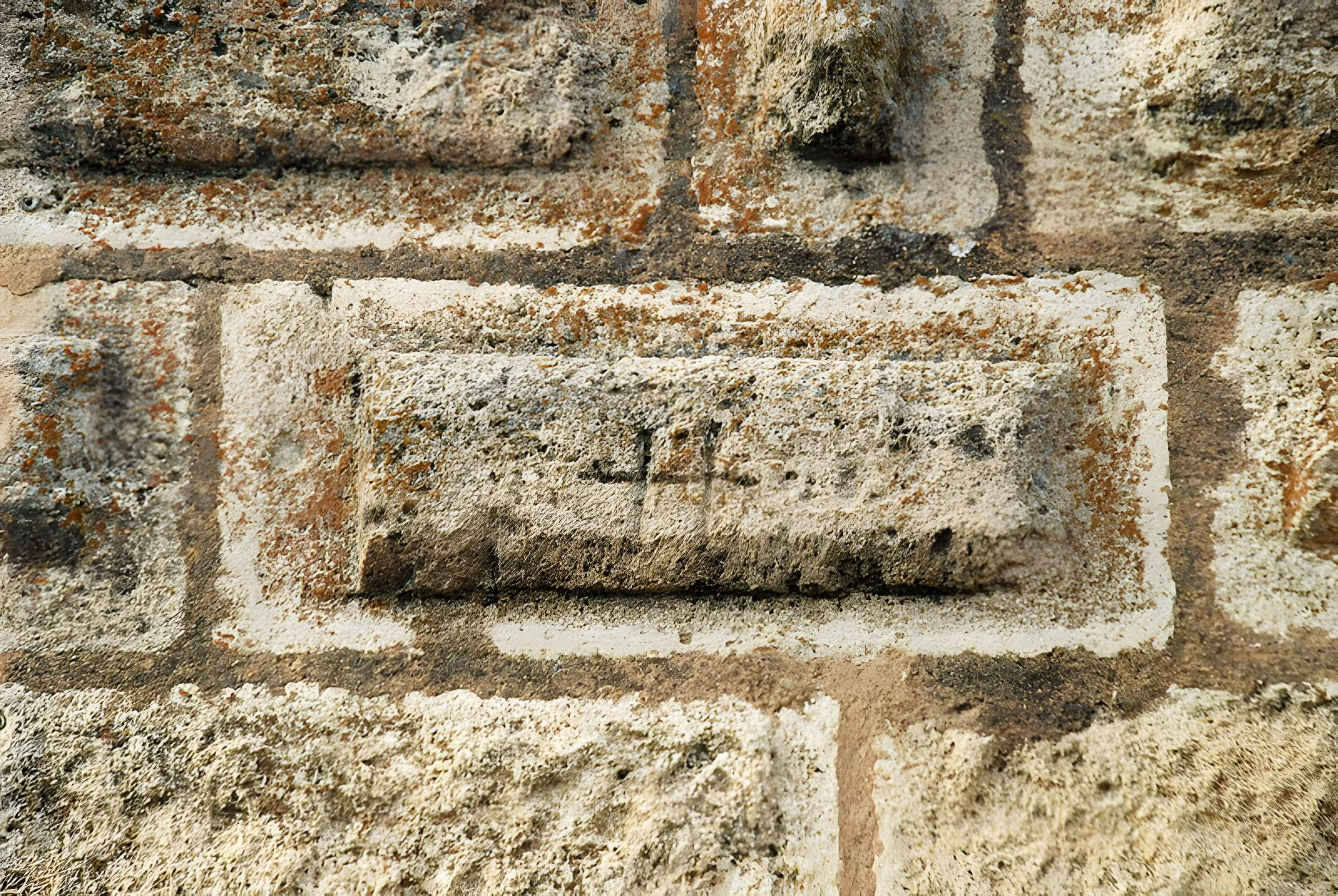 Tour Carbonnière de Saint-Laurent-d'Aigouze