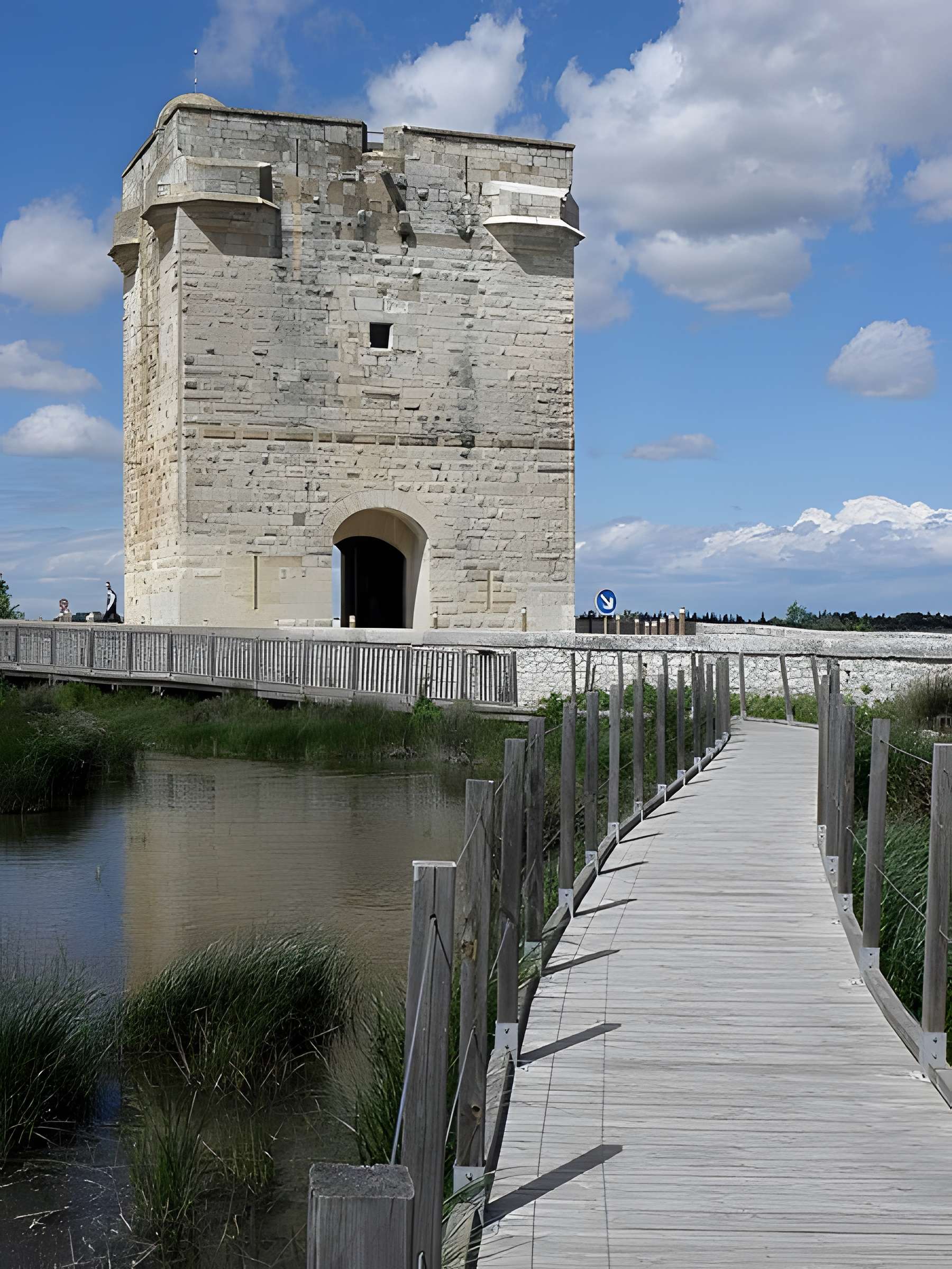 Tour Carbonnière de Saint-Laurent-d'Aigouze