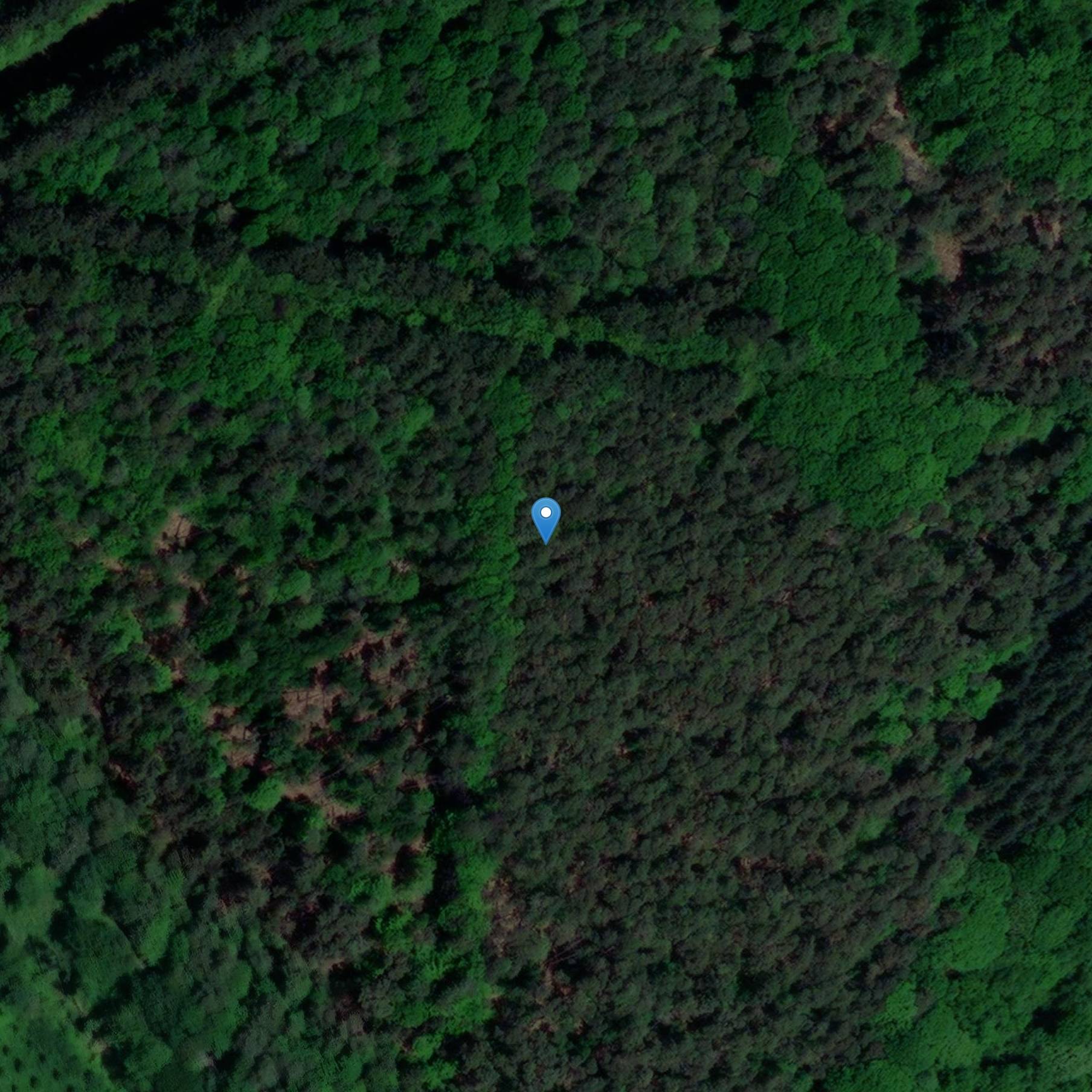 Photo de Mesnil-Jourdainの墓地十字