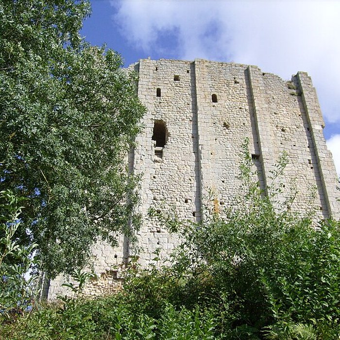 Photo de Tour de Broue à Saint-Sornin