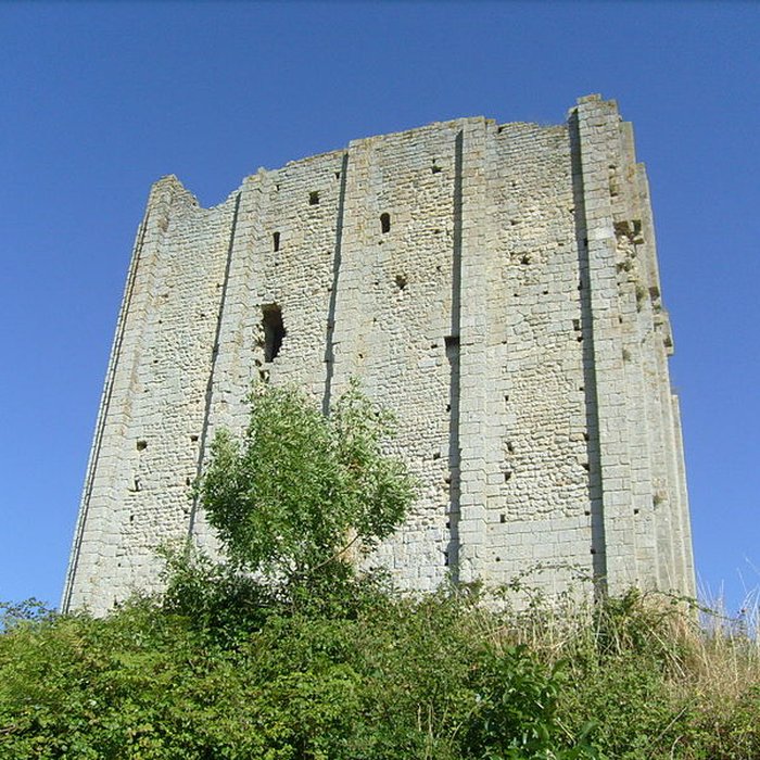 Photo de Tour de Broue à Saint-Sornin