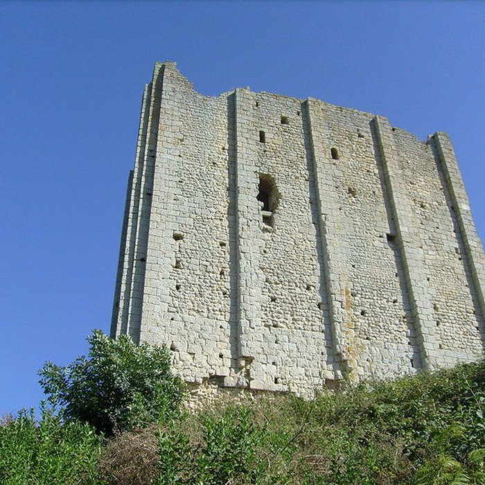 Photo de Tour de Broue à Saint-Sornin