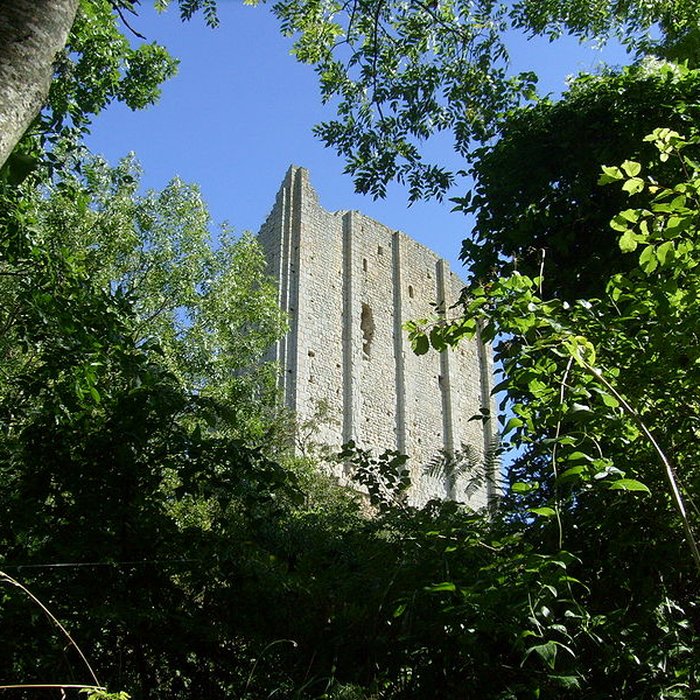 Photo de Tour de Broue à Saint-Sornin