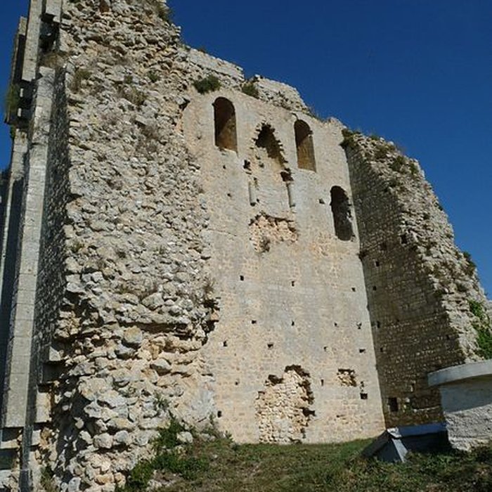 Photo de Tour de Broue à Saint-Sornin