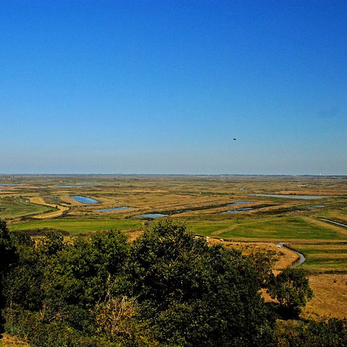 Photo de Tour de Broue à Saint-Sornin
