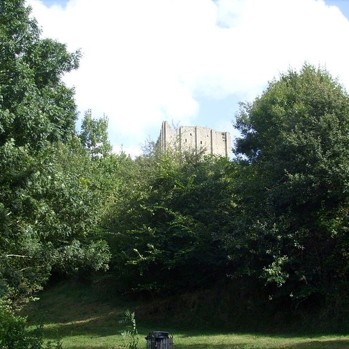 Photo de Tour de Broue à Saint-Sornin