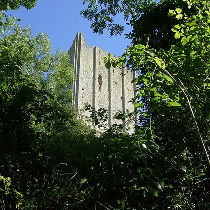 Photo de Tour de Broue à Saint-Sornin