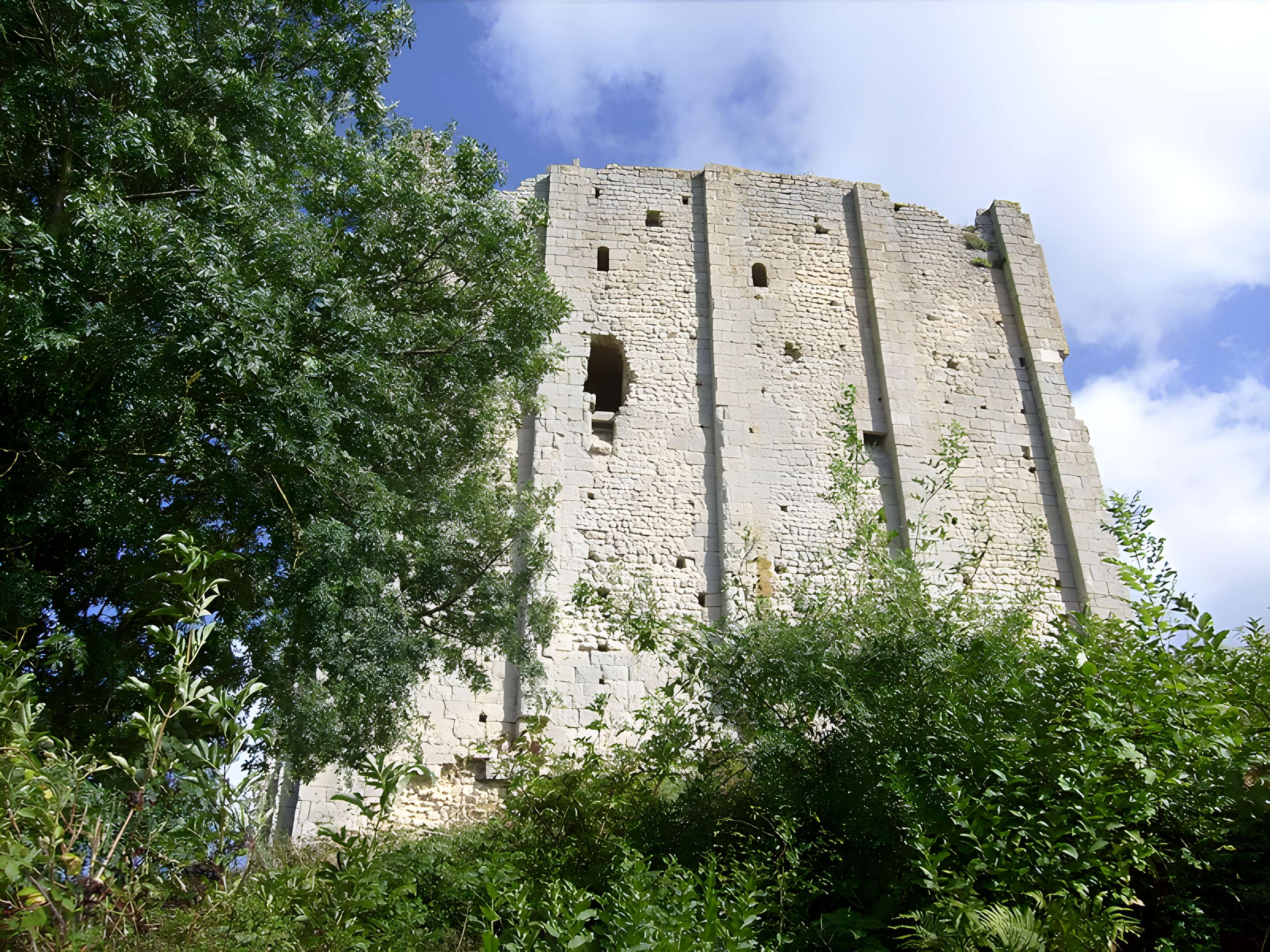Tour de Broue à Saint-Sornin