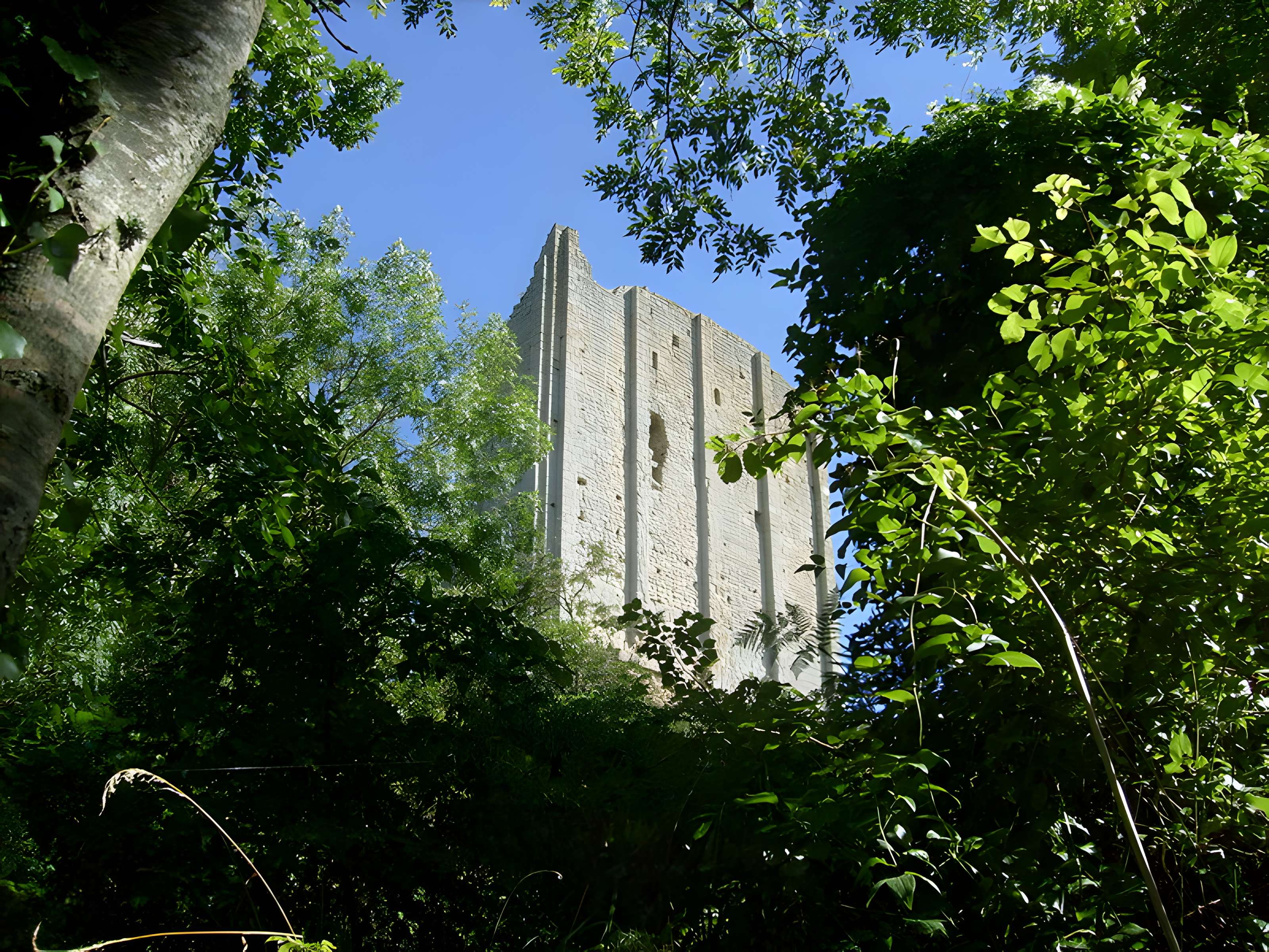 Tour de Broue à Saint-Sornin