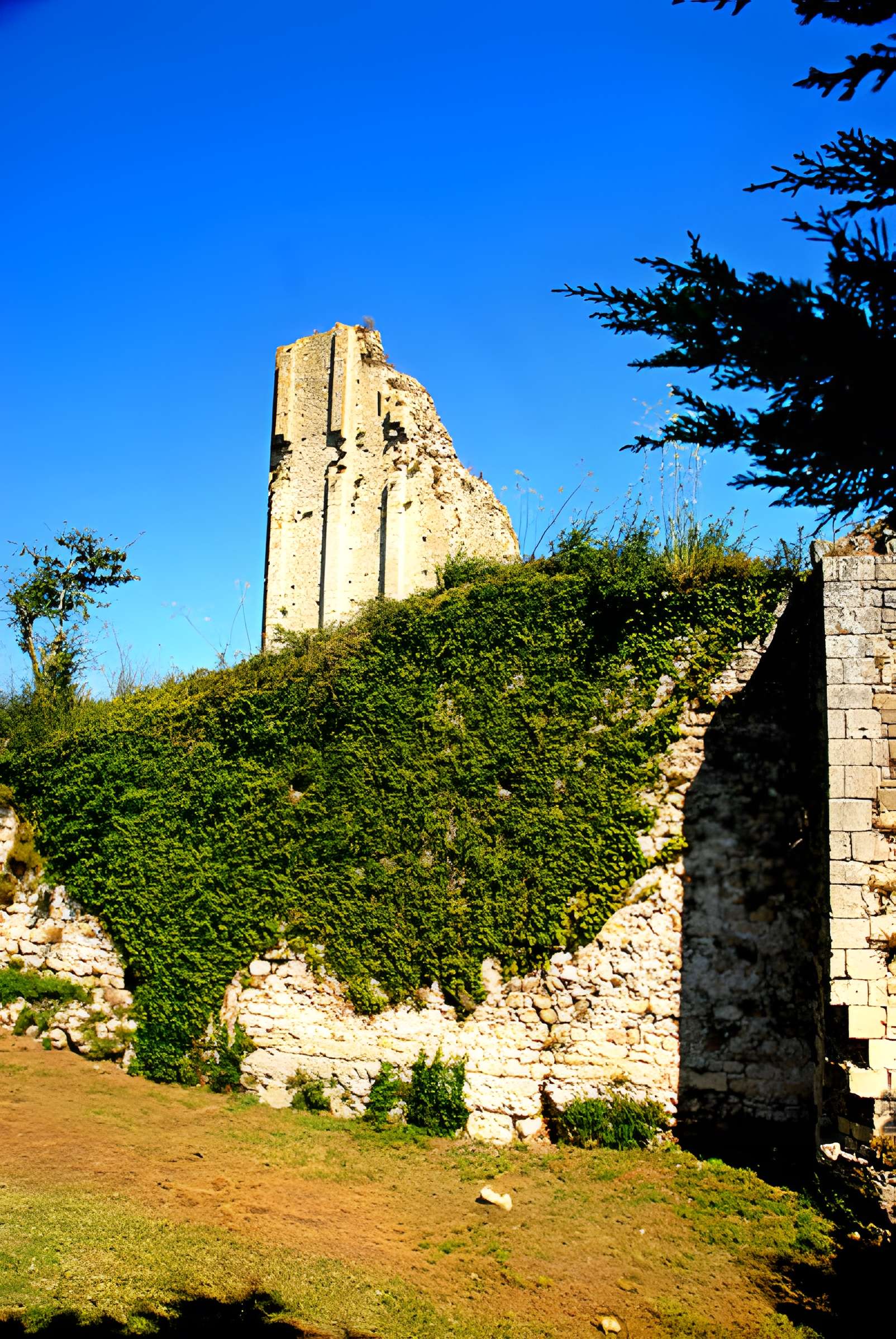 Tour de Broue à Saint-Sornin