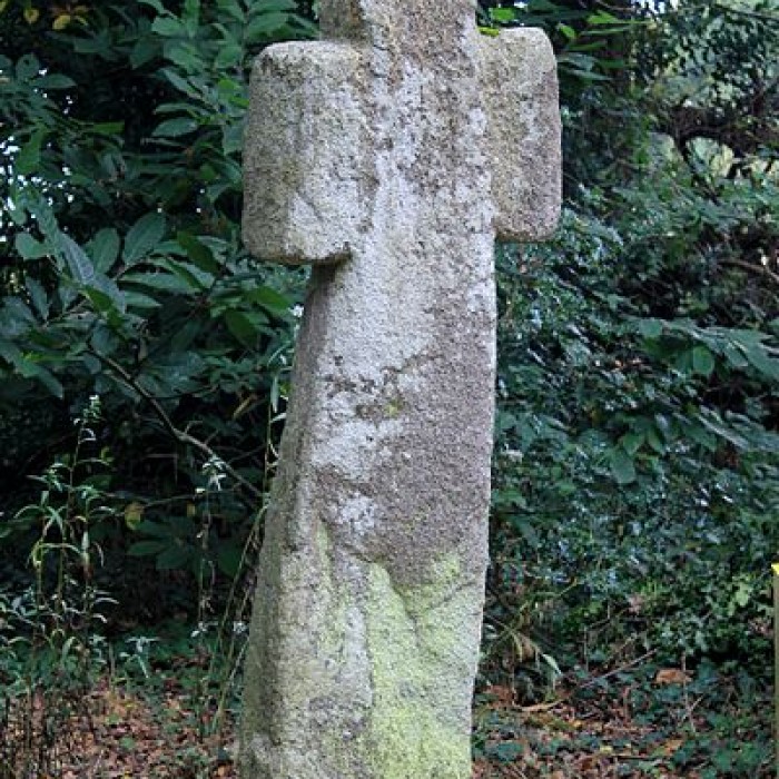 Photo de Croix de la Lande du Temple
