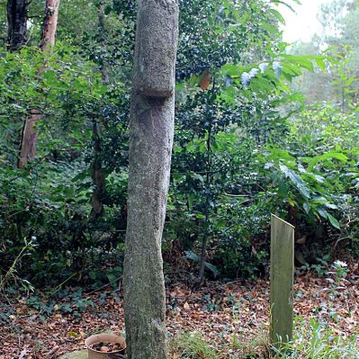 Photo de Croix de la Lande du Temple