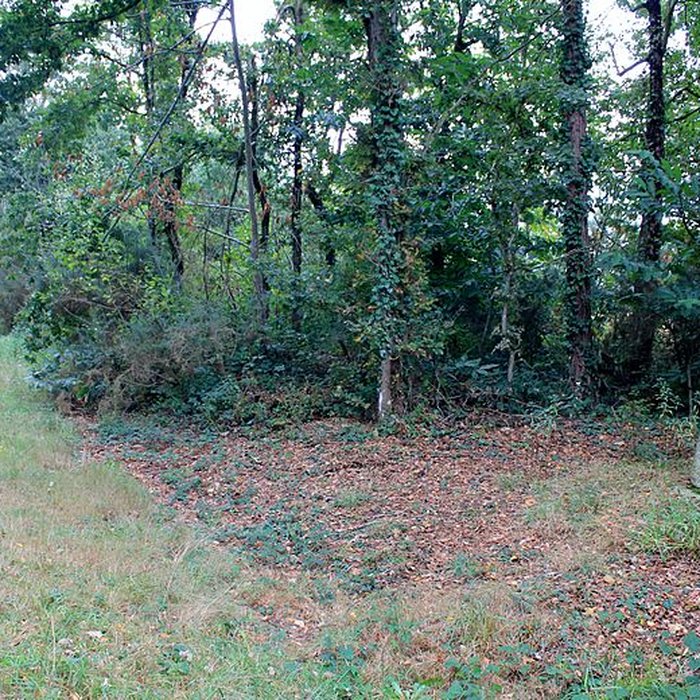 Photo de Croix de la Lande du Temple