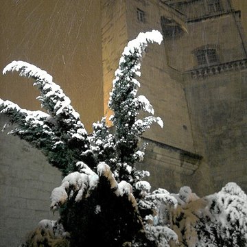 Tour de la Babotte de Montpellier