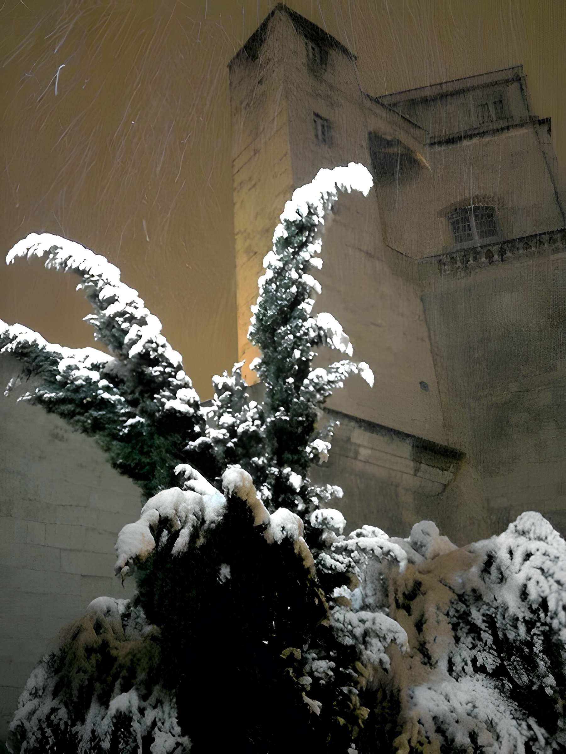 Tour de la Babotte de Montpellier