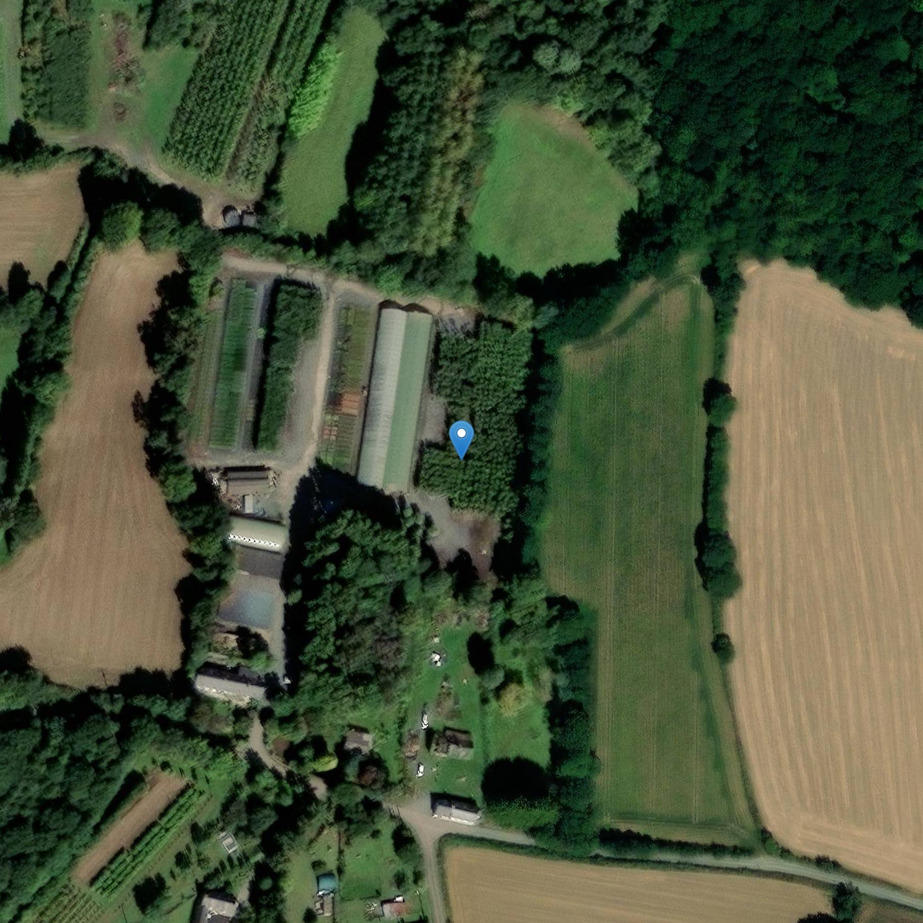 Photo de Croce di Lannebert