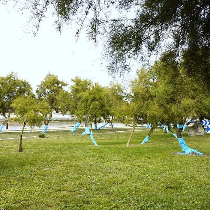 Photo de Tour de la Lanterne de La Rochelle