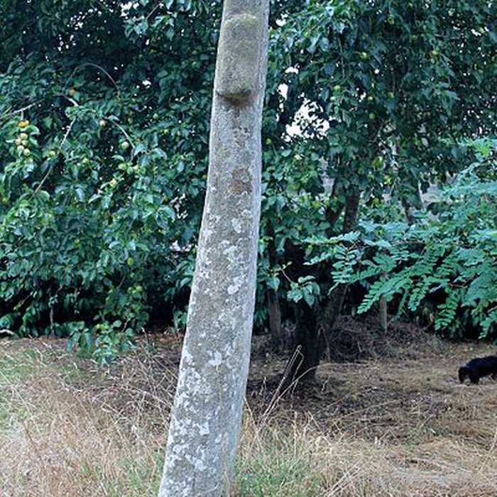 Photo de Croix de Locmiquel