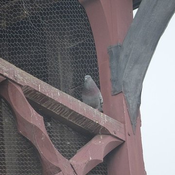 Tour de lhorloge de Beaune